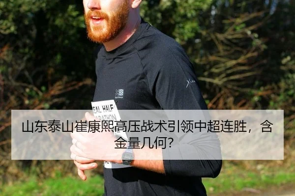 shan-dong-tai-shan-cui-kang-xi-gao-ya-zhan-shu-yin-ling-zhong-chao-lian-sheng-han-jin-liang-ji-he-2-462.jpg